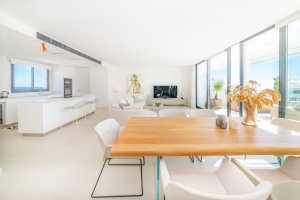 Exclusive Penthouse in Higuerón